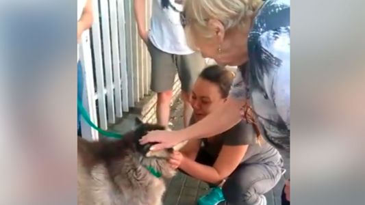 El emotivo reencuentro de una familia con su perra robada hace seis años