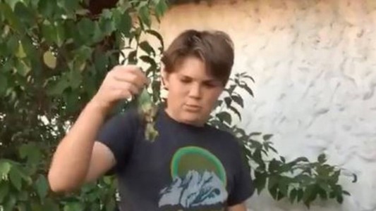 Los memes del video viral del funeral de Chimuelo