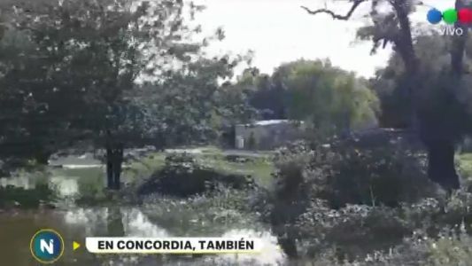 La costanera de Concordia, bajo el agua