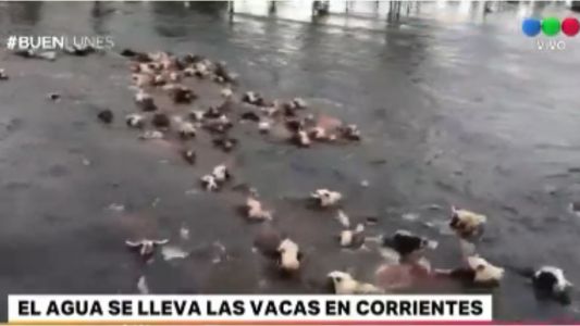 Las inundaciones no dan descanso en el Litoral