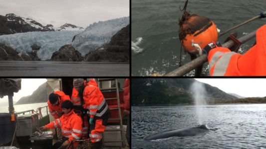 Laboratorio climático en la Patagonia chilena