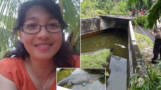 Horror en Indonesia: un cocodrilo se devoró a una científica que lo estaba alimentando