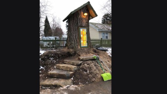 La bibliotecaria que transformó un álamo de 100 años en biblioteca