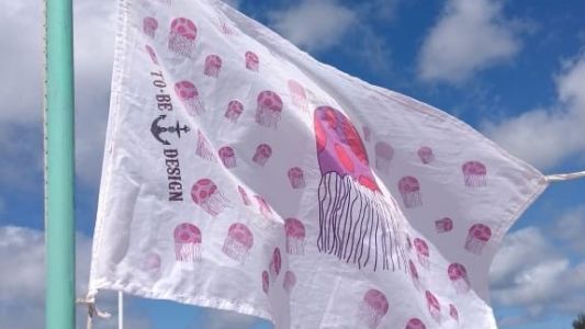 Las tapiocas volvieron a invadir las playas de Pinamar y hasta tienen una bandera