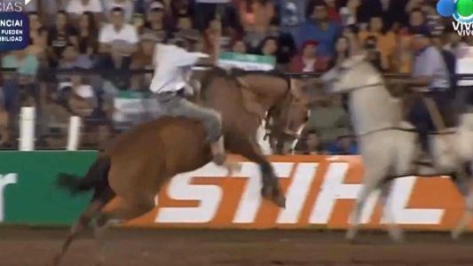 Festival de Jesús María: sacrificaron a un caballo herido en plena competencia