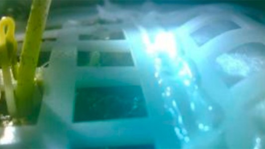 Murió la primera planta que había germinado en el lado oscuro de la Luna