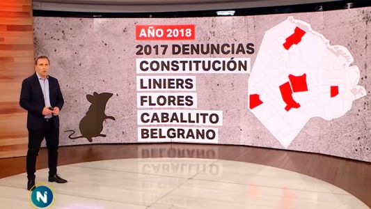 El mapa de las ratas: ¿cuáles son los barrios más afectados?