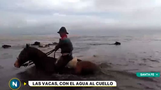 Más de cinco mil personas siguen evacuadas en cuatro provincias