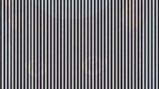 La ilusión óptica que arrasa en redes y que sólo podrás descubrir si mueves la cabeza