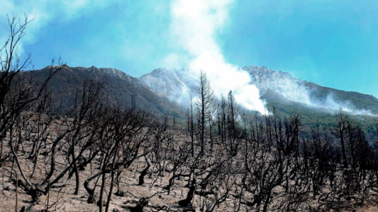 Tratan de controlar un incendio en los alrededores de Lago Puelo