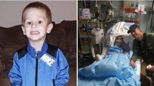 Un nene de 3 años estuvo perdido en un bosque y dice que sobrevivió junto a un oso