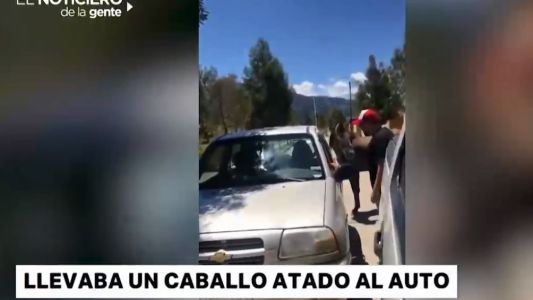 Crueldad animal: llevaba un caballo atado al auto