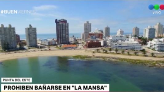 Punta del Este: por una bacteria prohibieron bañarse en la playa La Mansa