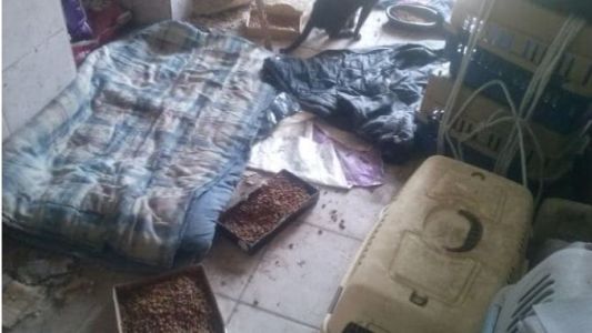 Crimen de las hermanas israelíes: así es por dentro la casa del horror de Gilad Pereg, el acusado de los asesinatos