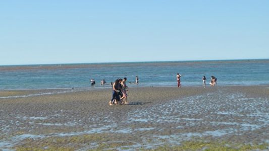 La insólita ola de calor que se vive en Tierra del Fuego