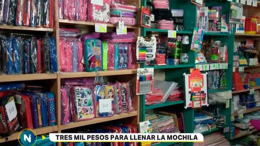 Canasta escolar: tres mil pesos para llenar la mochila