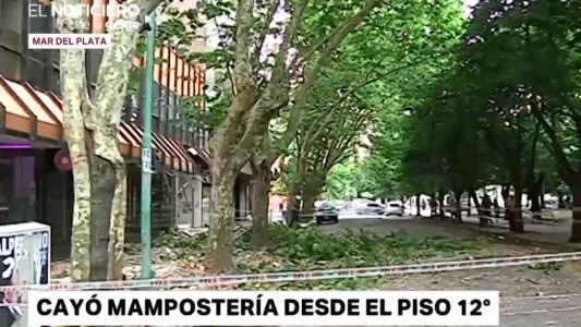 Terror en Mar del Plata por una "lluvia" de ladrillos