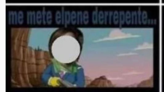 "Basta de feminazis": el meme que puede costarle el puesto a un profesor del Pellegrini