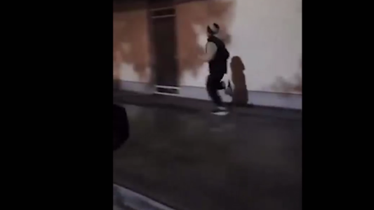 Video: un taxista motivó a un corredor con la canción de “Rocky”