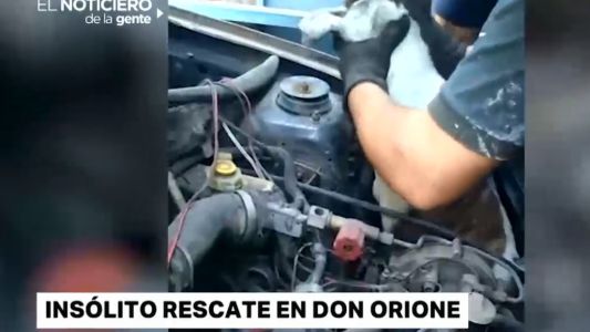 Rescataron a un perrito que estuvo tres días dentro del motor de un auto