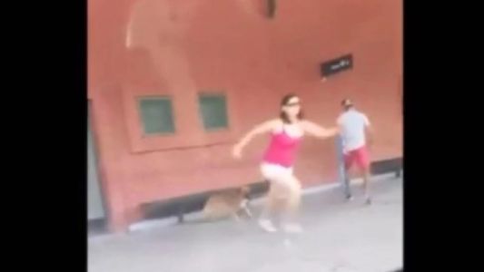 Viral cruel: abandonó a su perro en la estación y se subió corriendo al tren Roca