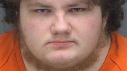 Detuvieron a un hombre que se disfrazó de animal, violó a su perro y subió los videos a Internet