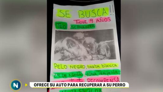 La desesperada búsqueda de "Teo"