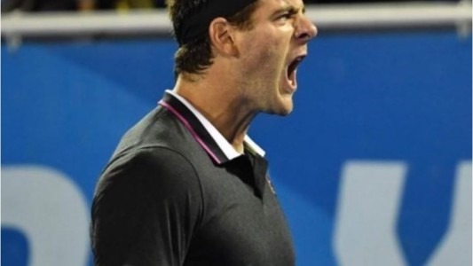 Del Potro volvió y ganó (1)