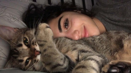 Video viral: se había quedado afuera de su casa y su gato le abrió la puerta