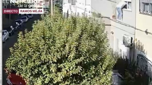 Bajó de un golpe al "hombre araña" que intentó robarle