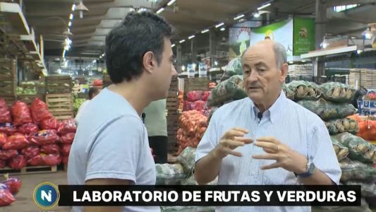 Así funciona el laboratorio de frutas y hortalizas del Mercado Central