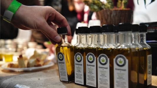¿Qué establece la normativa para poder producir aceite de cannabis medicinal?