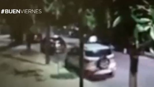 Iba mirando su celular y chocó un auto estacionado