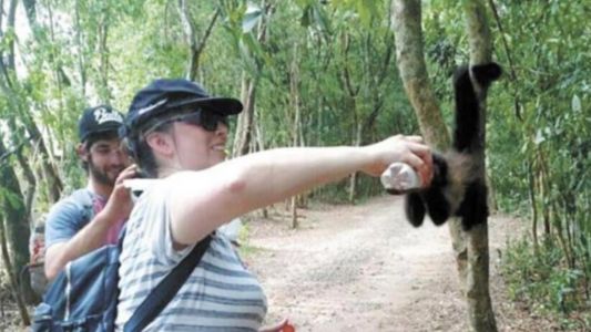 Bronca en las redes: escracharon a una mujer dándole gaseosa a un mono en las Cataratas del Iguazú