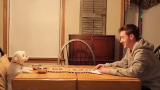 Video viral: así cuida un joven al perro de sus padres