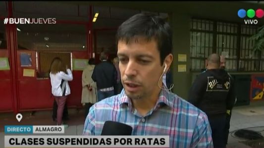 Suspendieron las clases en una escuela de Almagro porque encontraron ratas