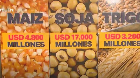 ¿Qué hará el campo con sus dólares?