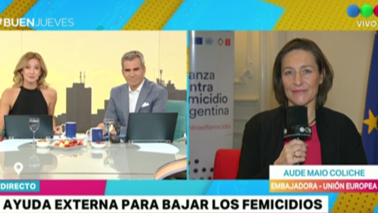 Ayuda externa para bajar los femicidios: "Argentina tiene una sociedad que está decidida a actuar"