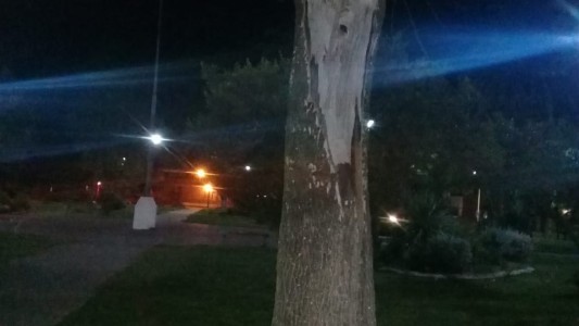 ¿La Virgen María o San La Muerte?