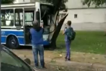 Un colectivo se incrustó en un árbol: 30 heridos