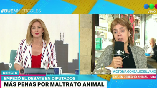 Piden más penas para el maltrato animal
