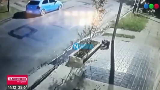 Robo insólito: intentó llevarse un árbol y se cayó en el intento