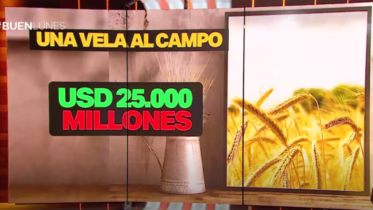 El Gobierno espera los agrodólares