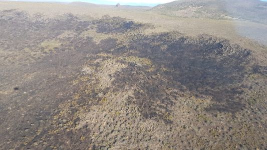 Incendio en Neuquén: las lluvias apagaron el fuego