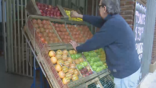 Verduras cuidadas... de los ladrones