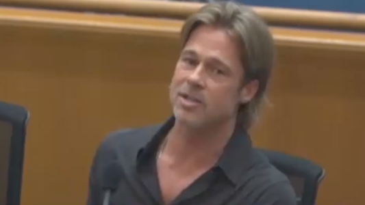 Brad Pitt y Diane Keaton en el concejo deliberante