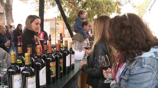 Chile impulsa sus vinos premium