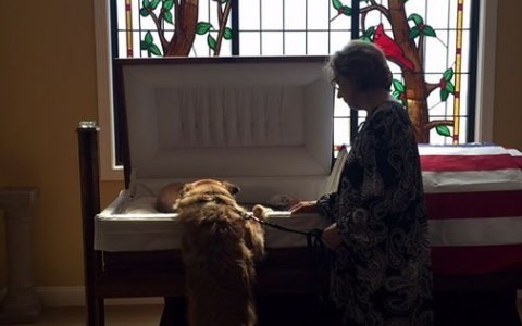 Viral conmovedor: el perro que despide a su dueño en el funeral