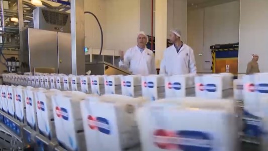 "Apóstoles", la otra leche esencial