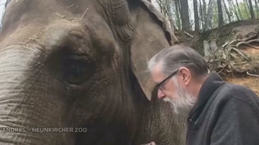 El cuidador que comprobó la buena memoria de los elefantes